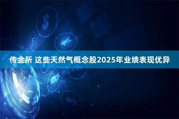 传金所 这些天然气概念股2025年业绩表现优异